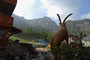 Monte Valgussera, Pizzo Vescovo, Monte Brate, tre cime ad anello da Foppolo il 28 maggio 2016 - FOTOGALLERY